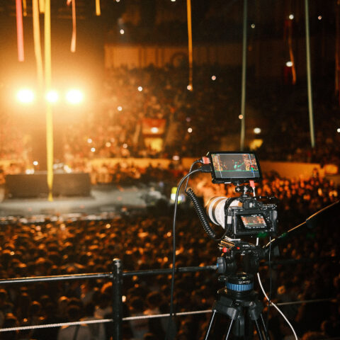 New Gang Festival 2025